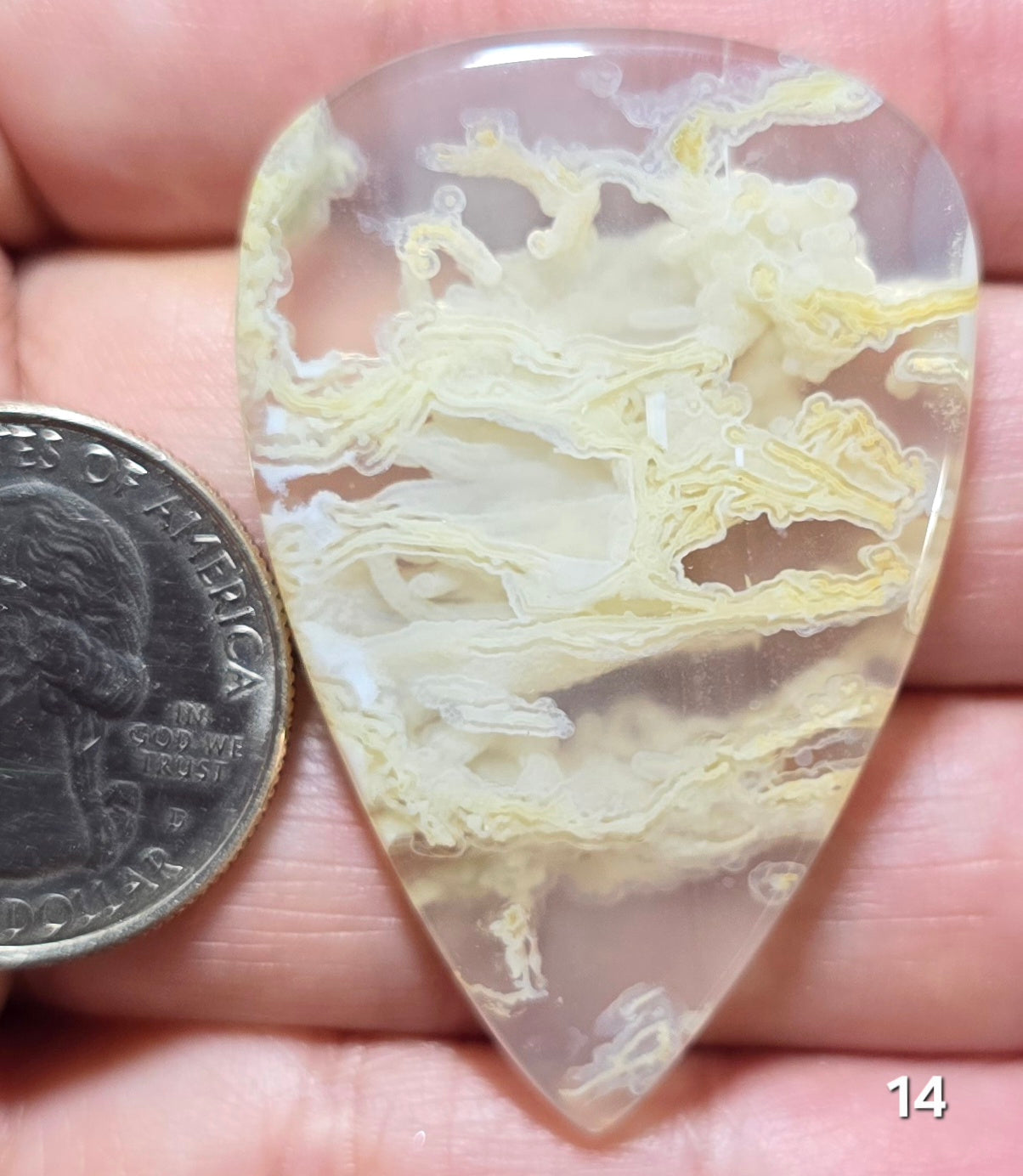 #14 Indonesian Moss Agate