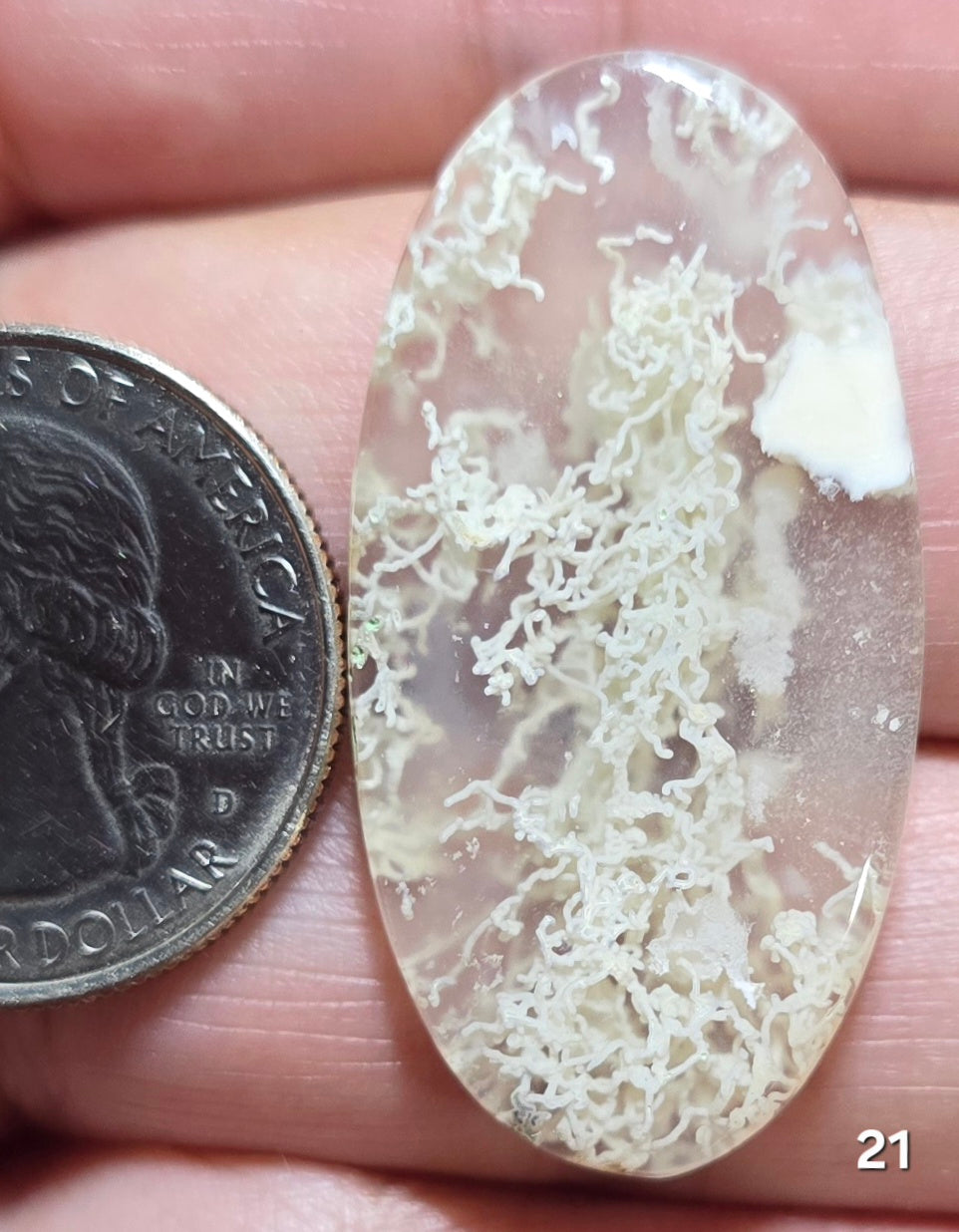 #21 Indonesian Moss Agate