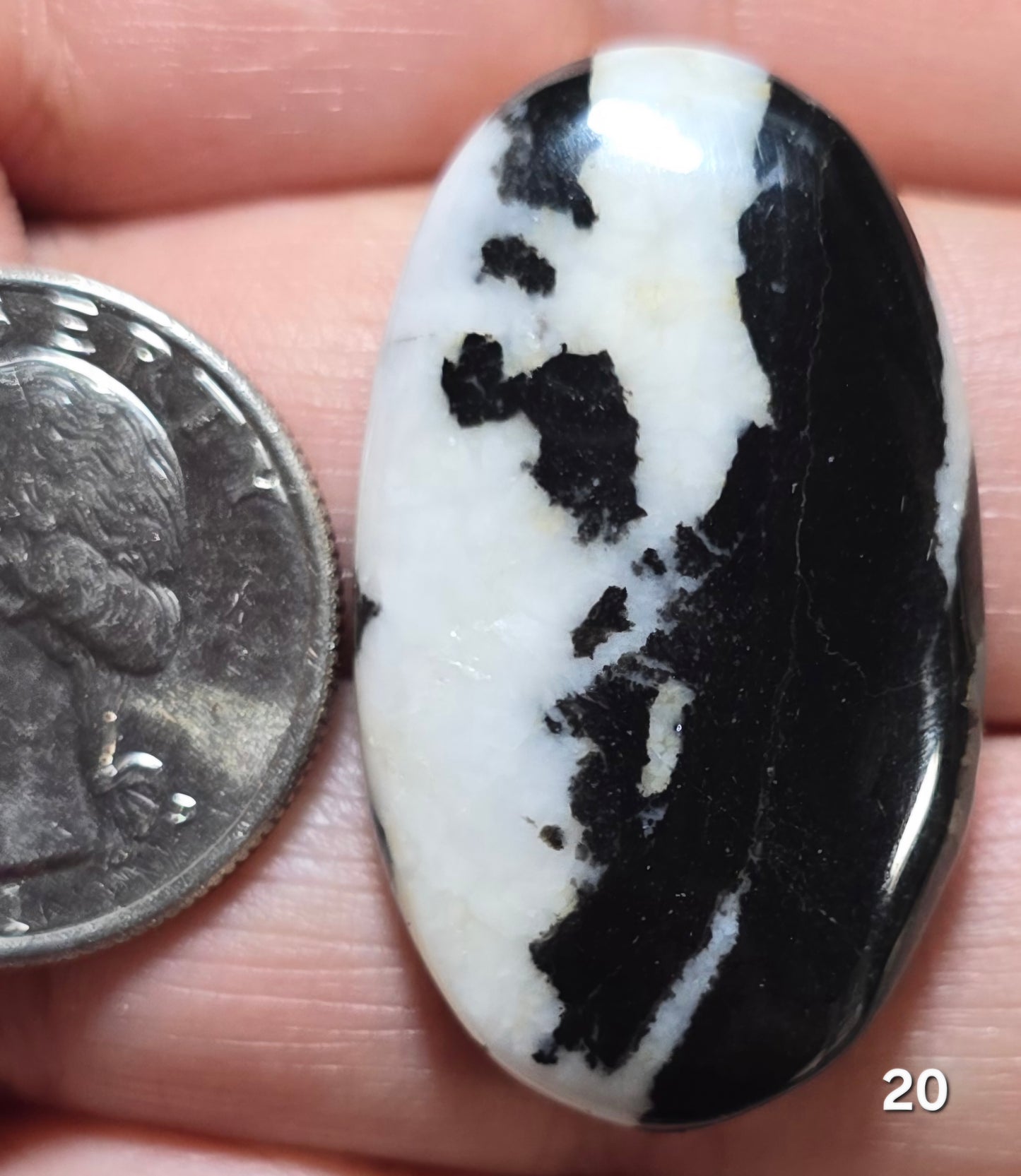 #20 Zebra Jasper