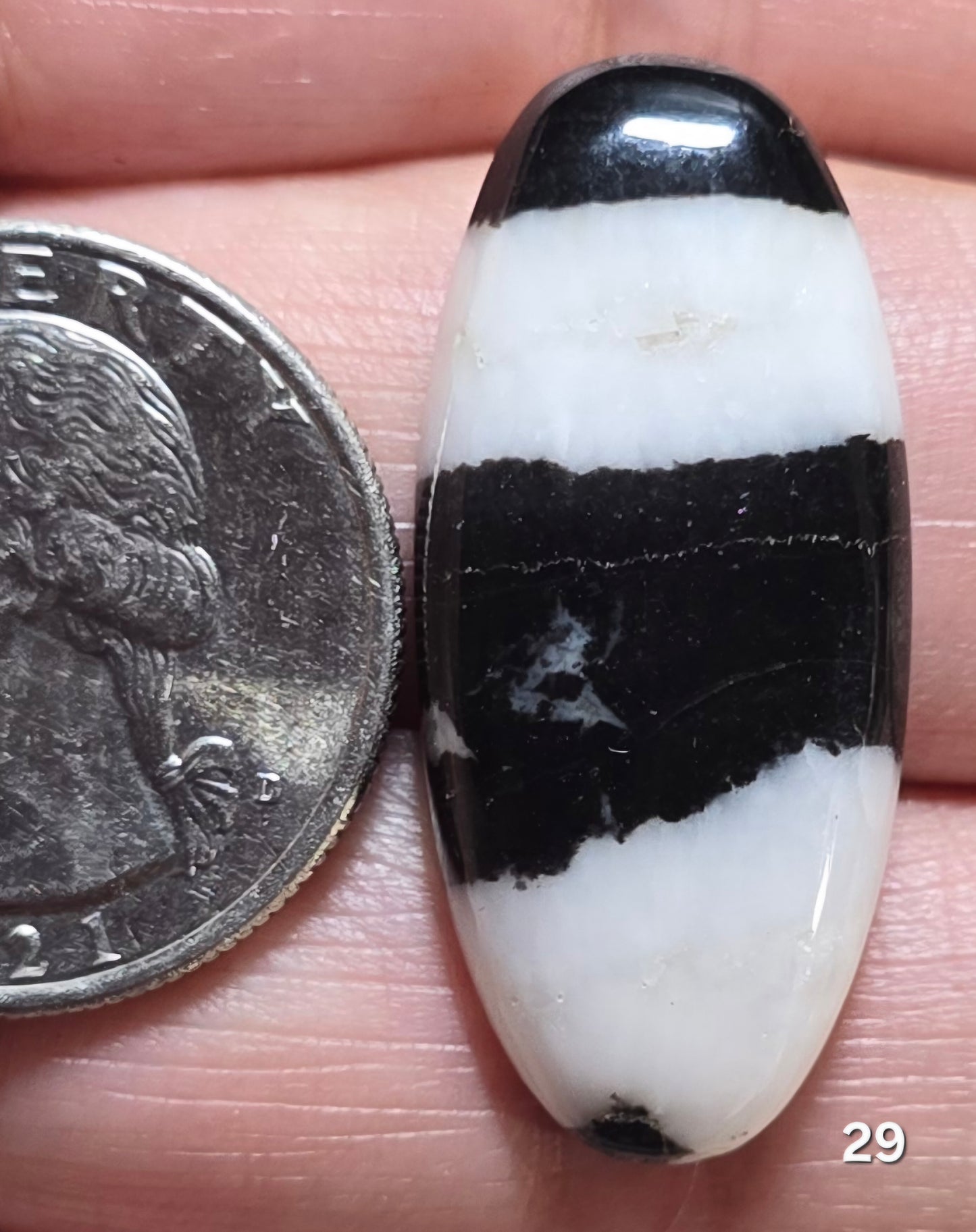 #29 Zebra Jasper