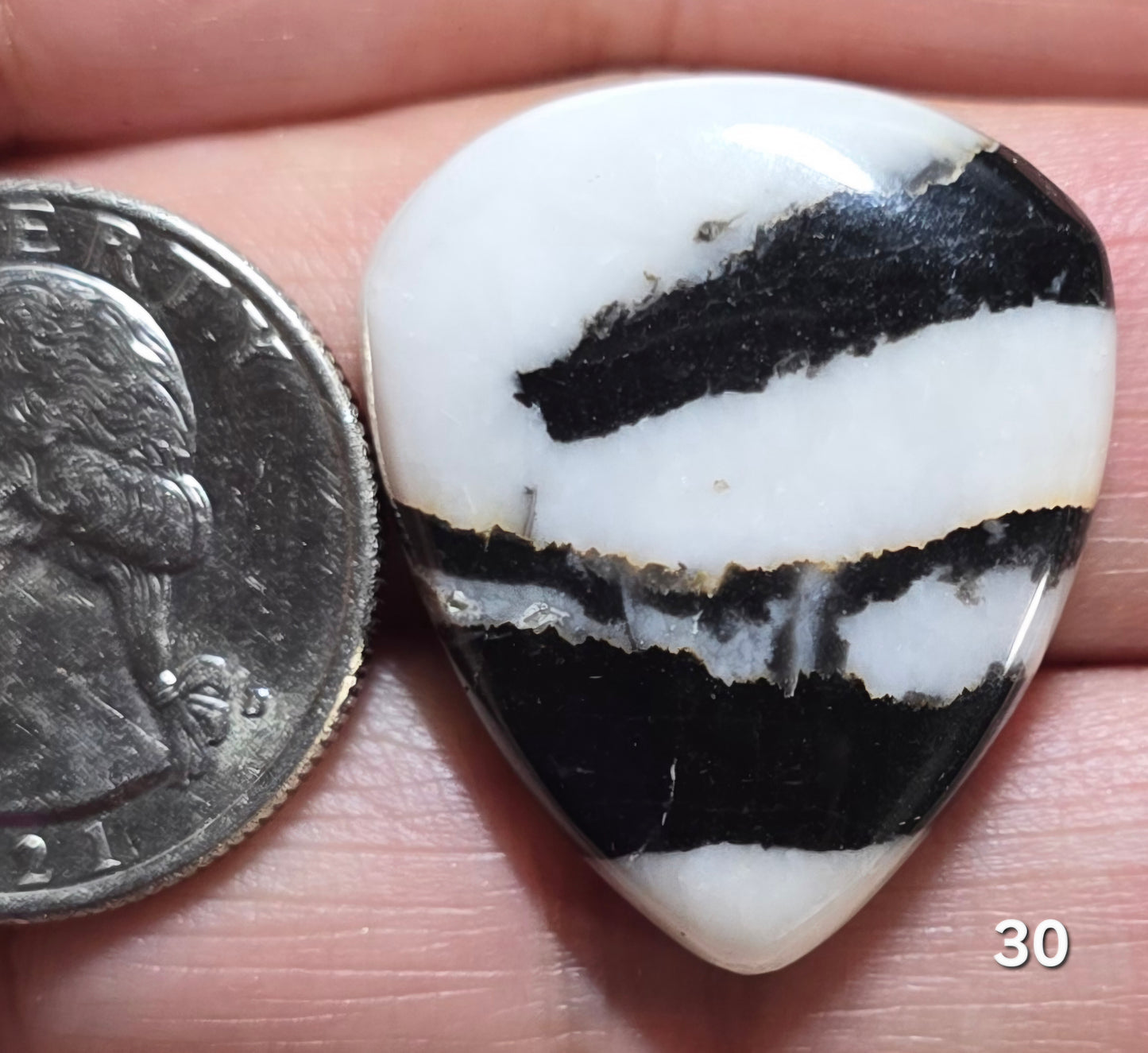 #30 Zebra Jasper