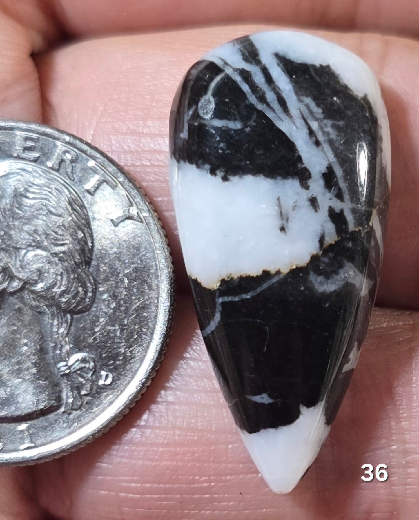 #36 Zebra Jasper