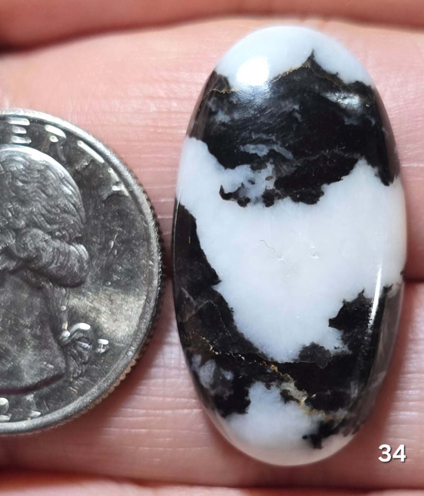 #34 Zebra Jasper
