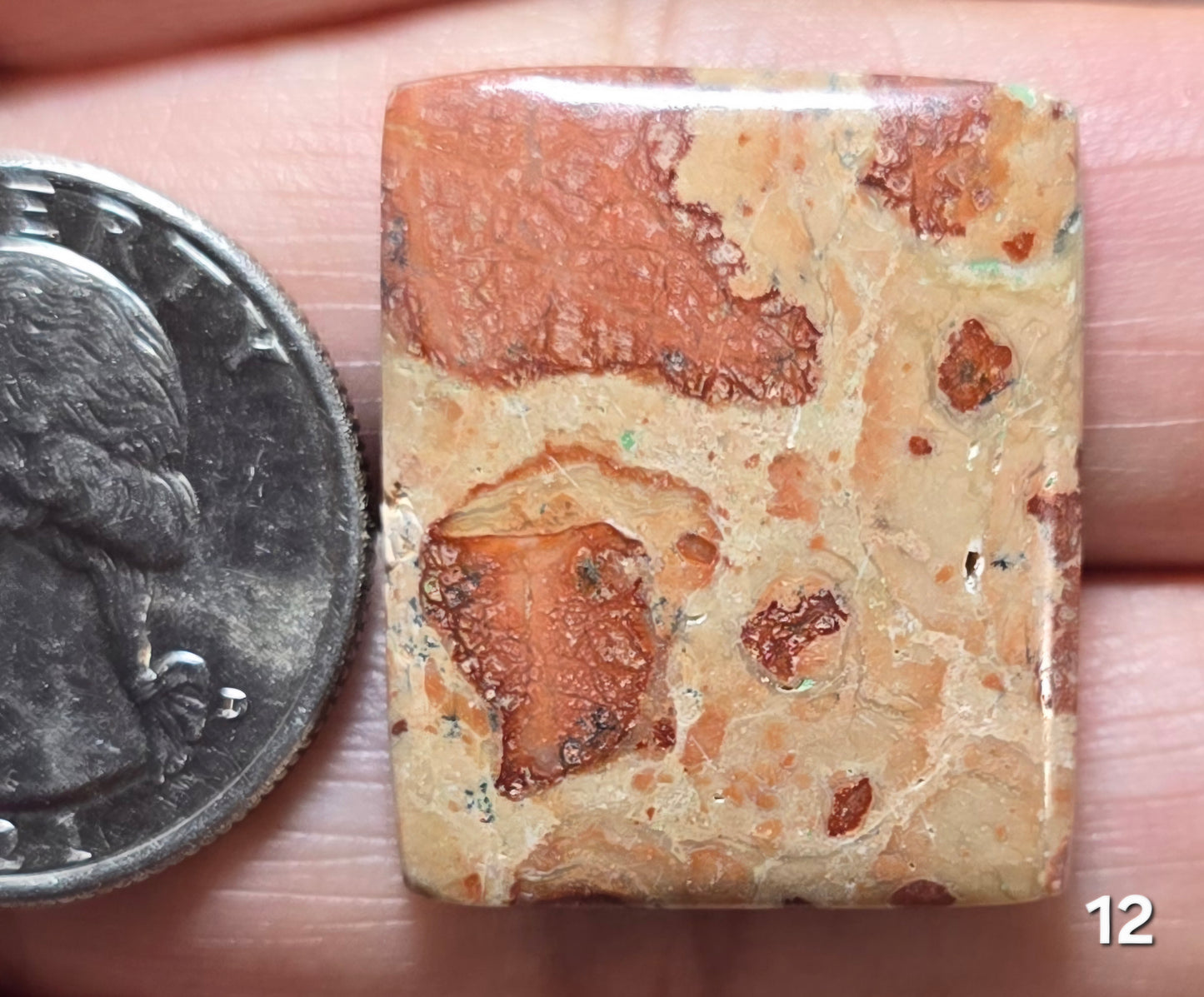#12 Asteroid Jasper