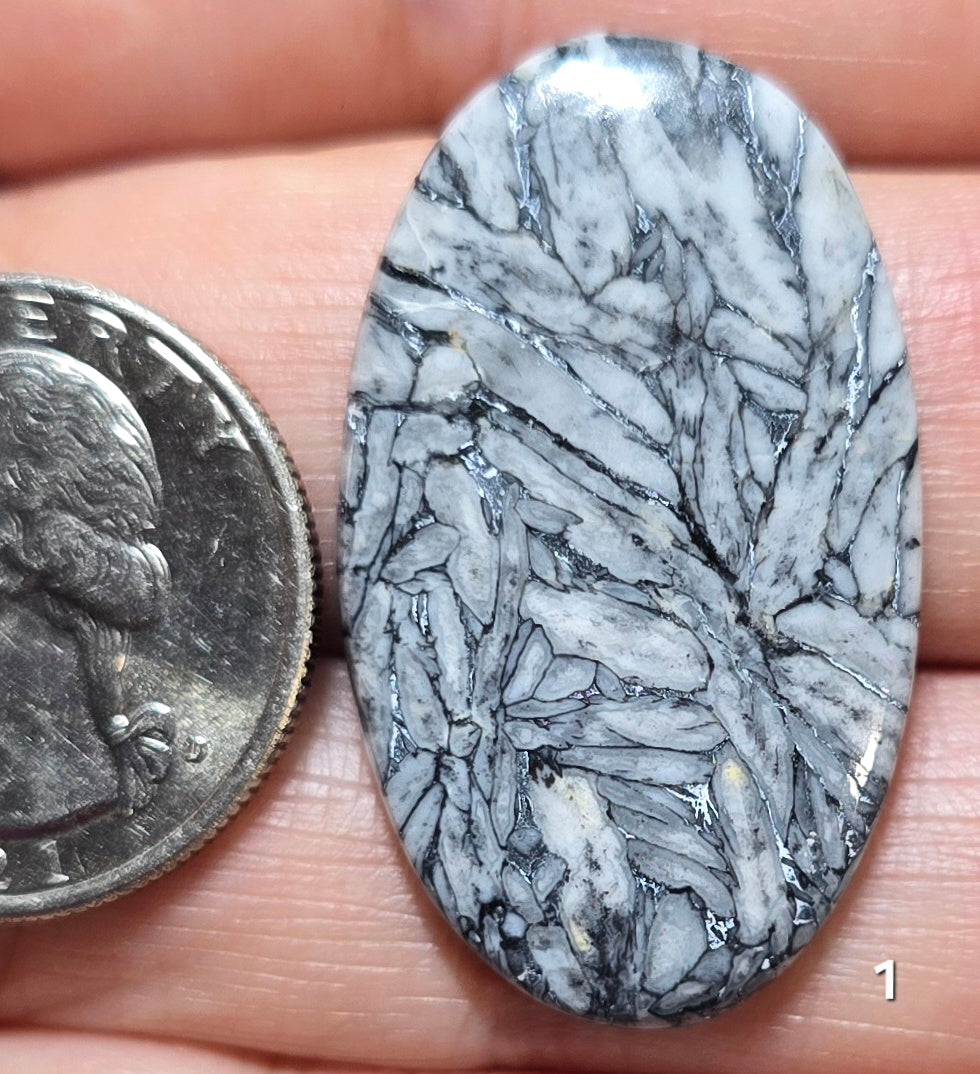 #1 Pinolith Jasper
