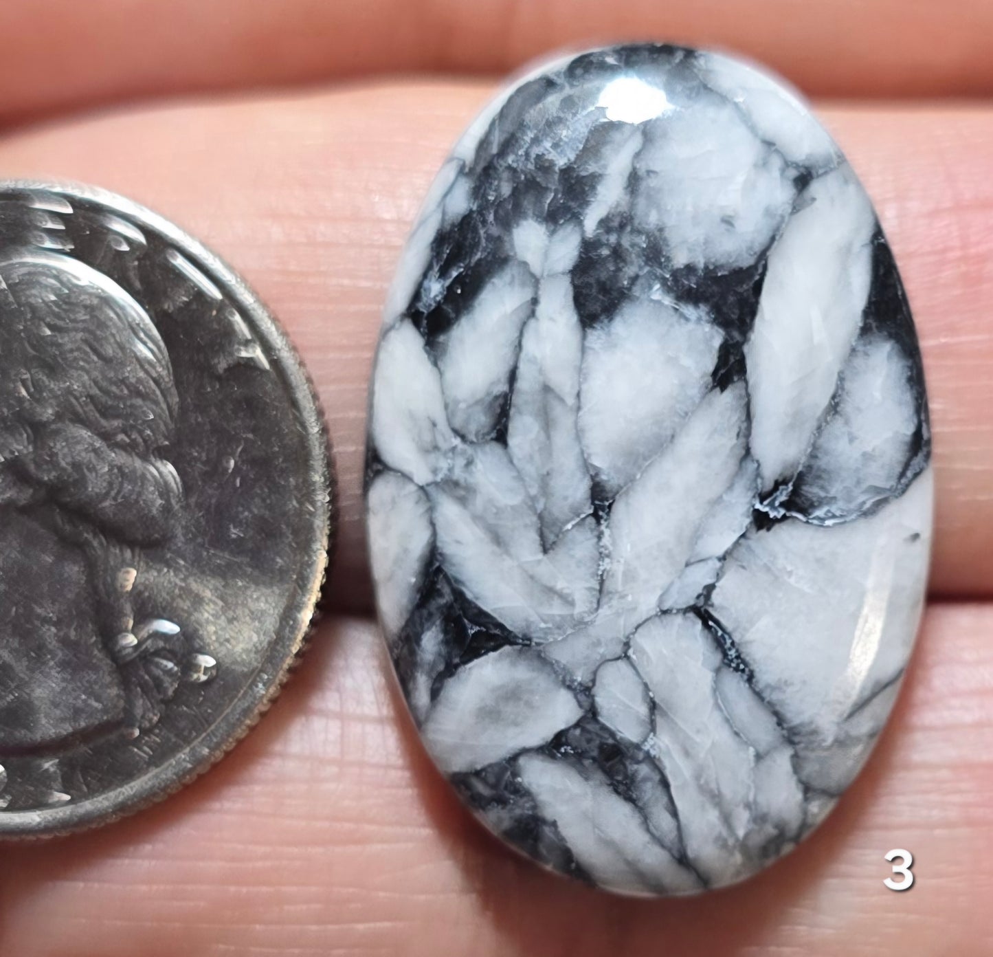 #3 Pinolith Jasper