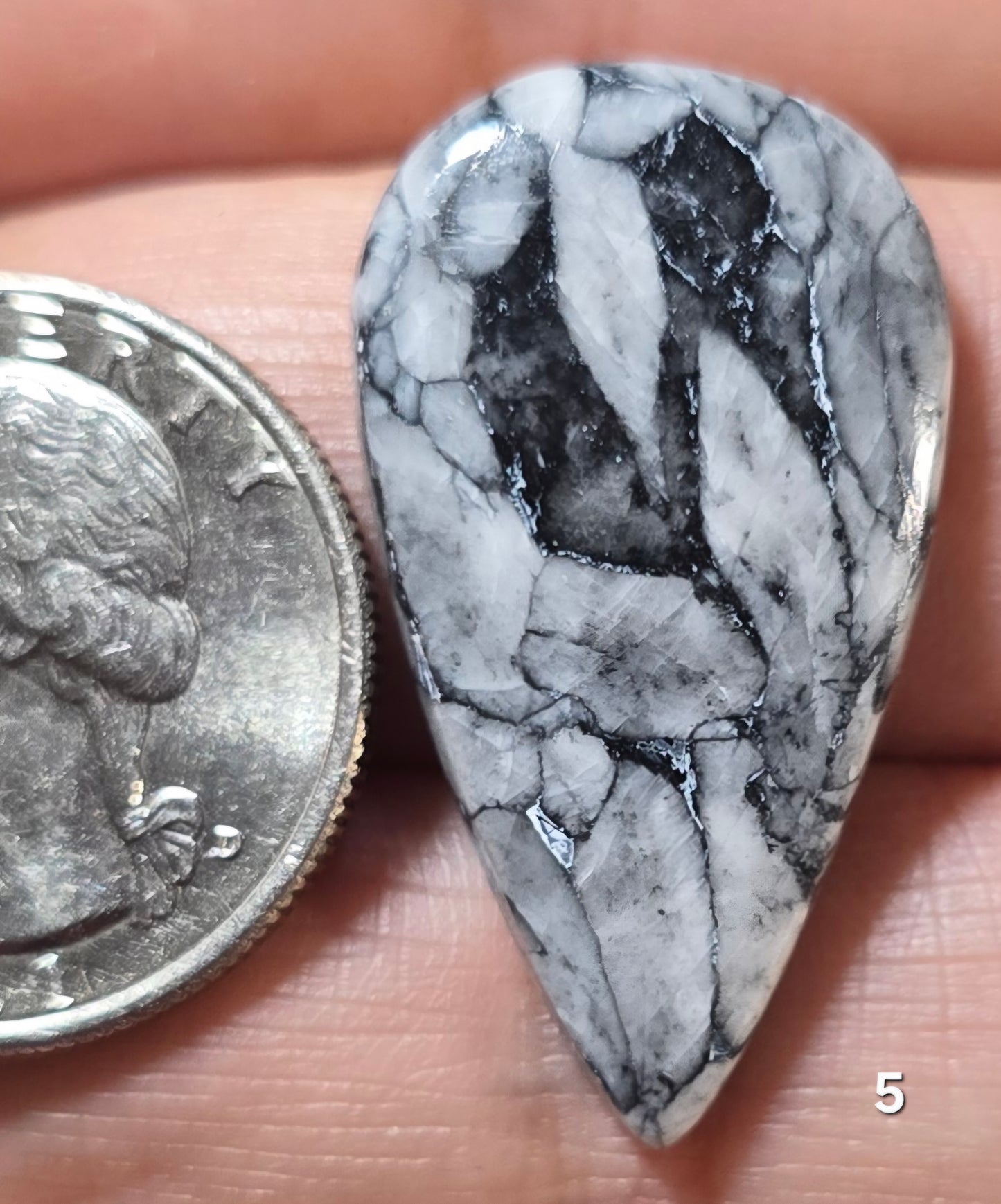 #5 Pinolith Jasper