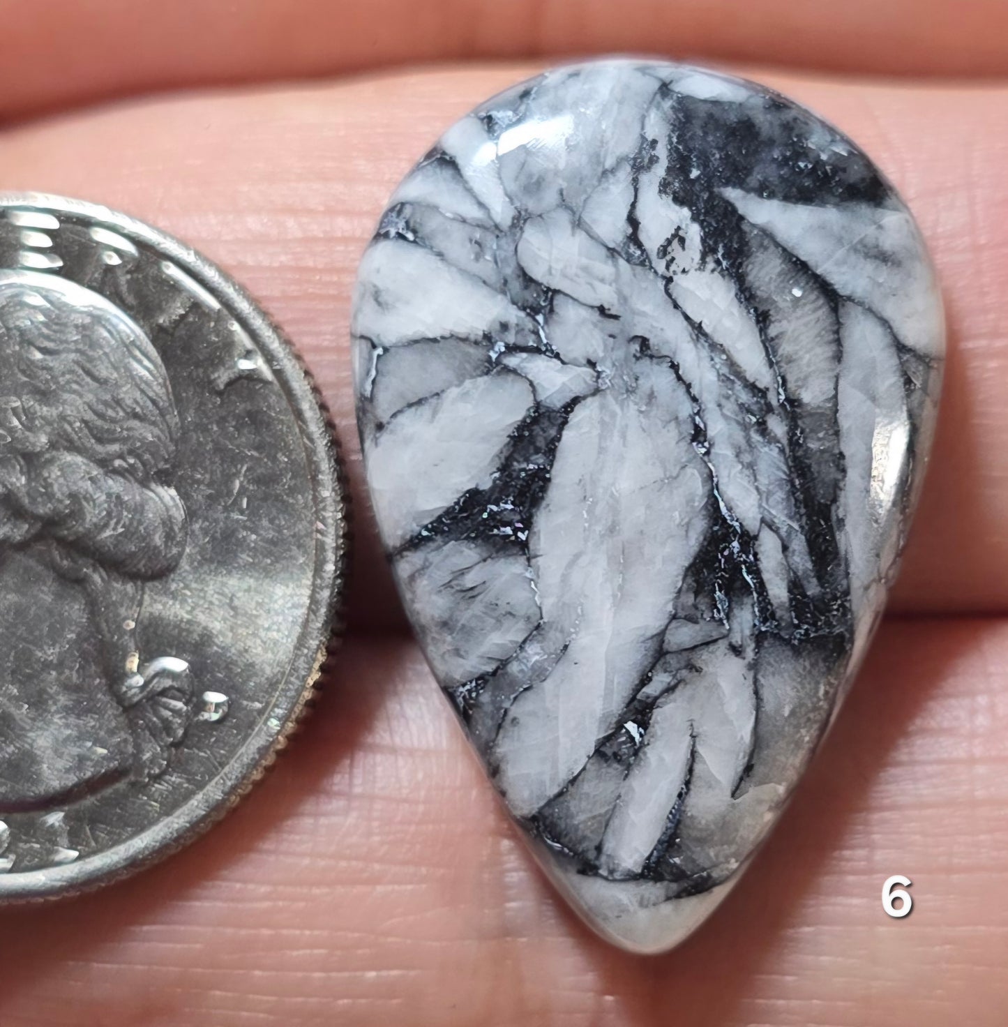 #6 Pinolith Jasper