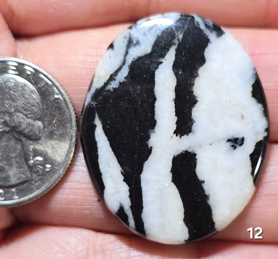#12 Zebra Jasper