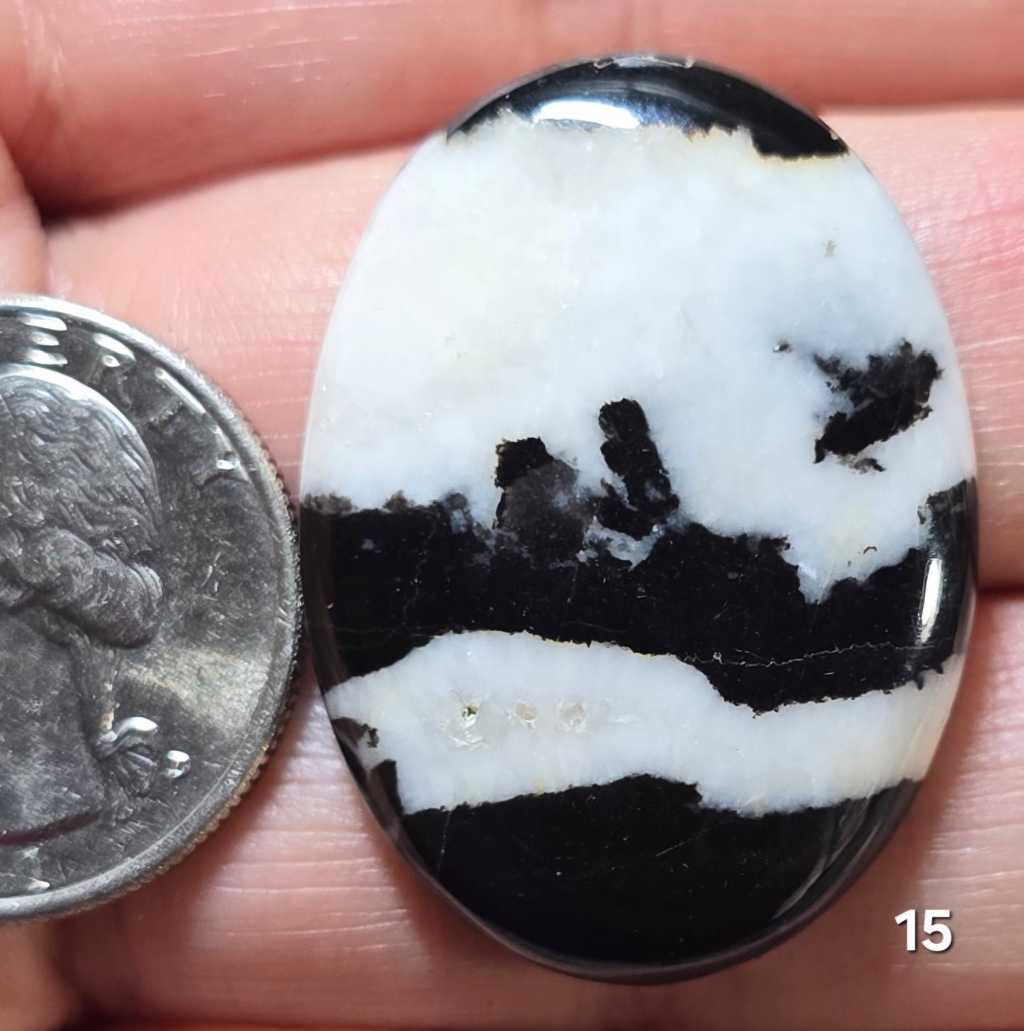 #15 Zebra Jasper
