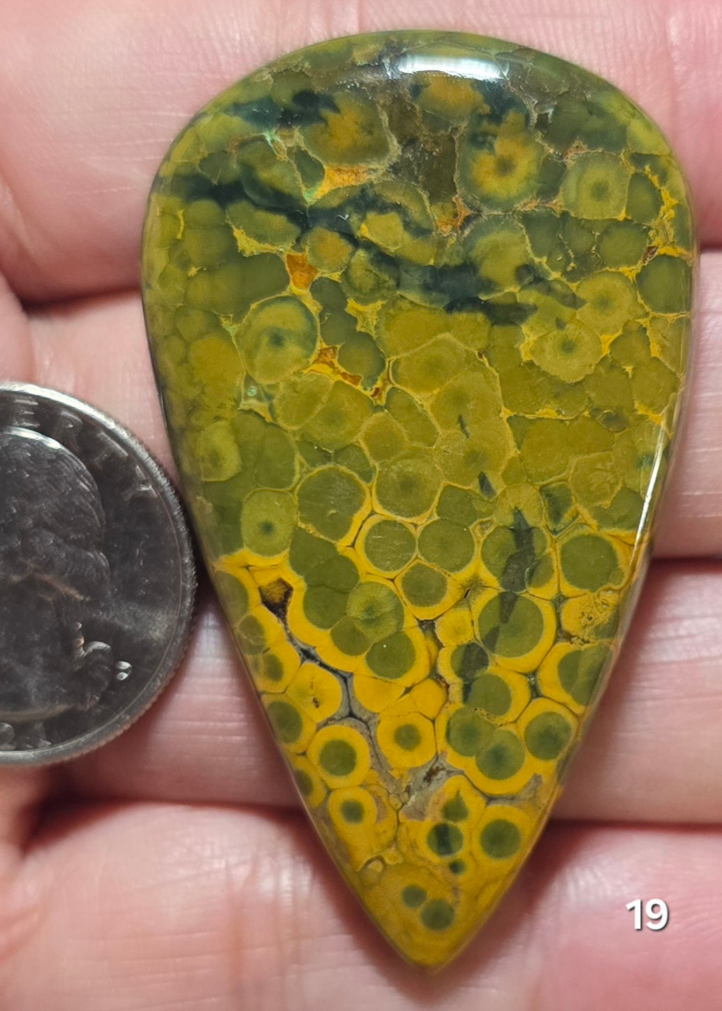 #19 Ocean Jasper
