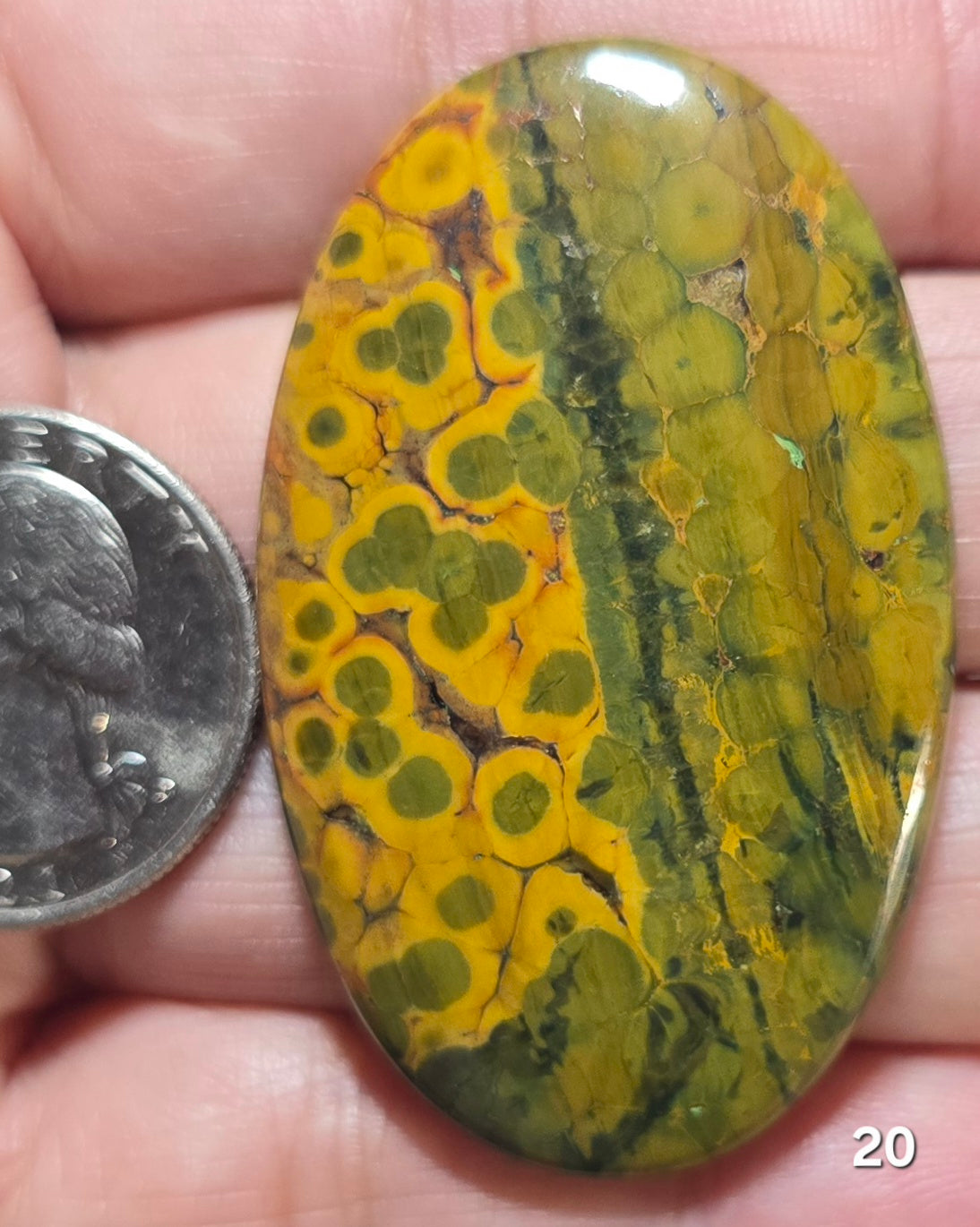 #20 Ocean Jasper