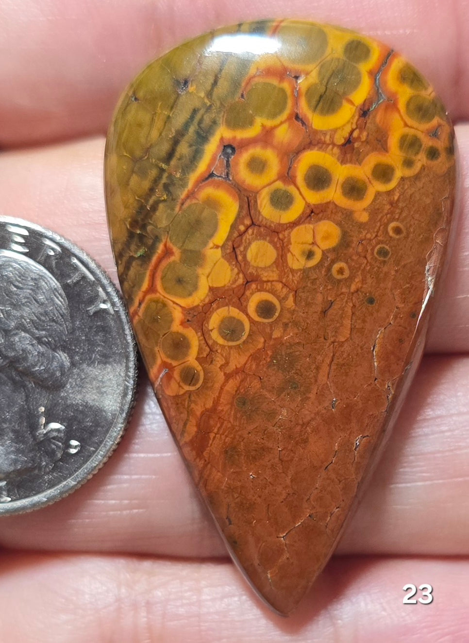 #23 Ocean Jasper