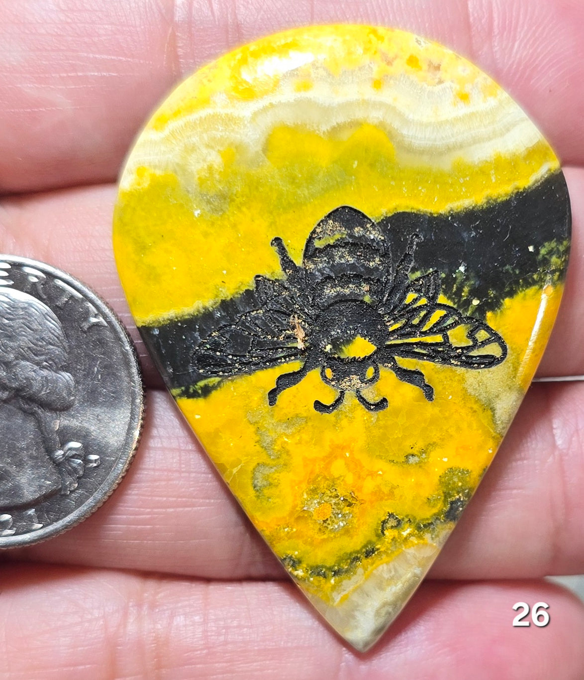 #26 Bumblebee Jasper