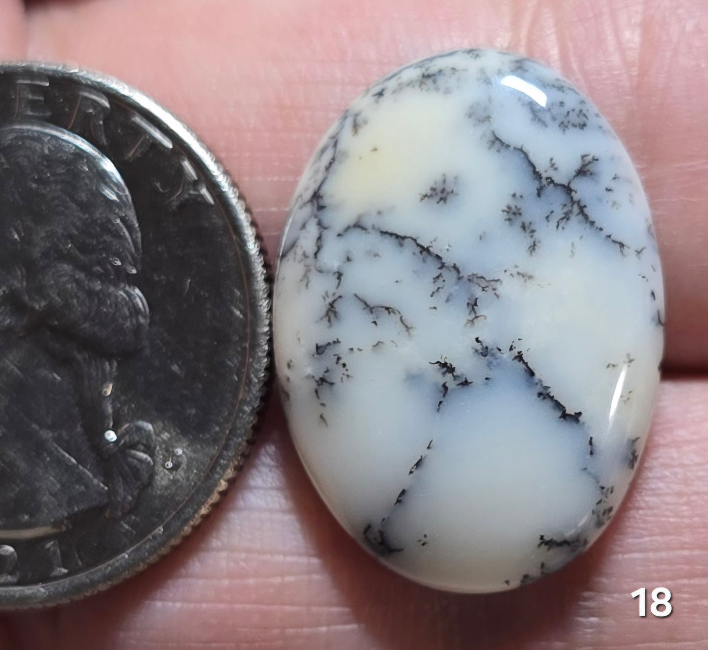 #18 Dendritic Opal