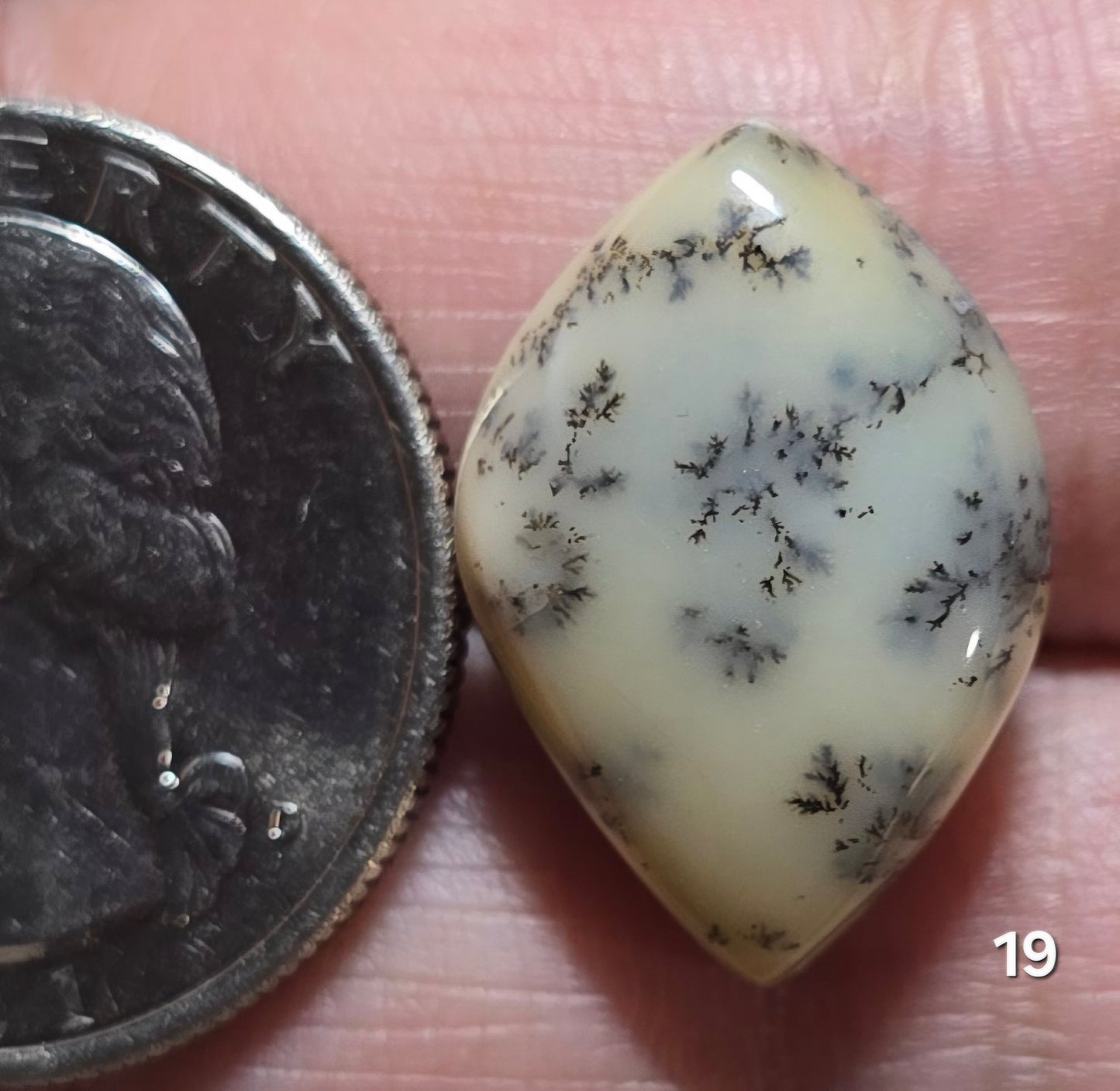 #19 Dendritic Opal
