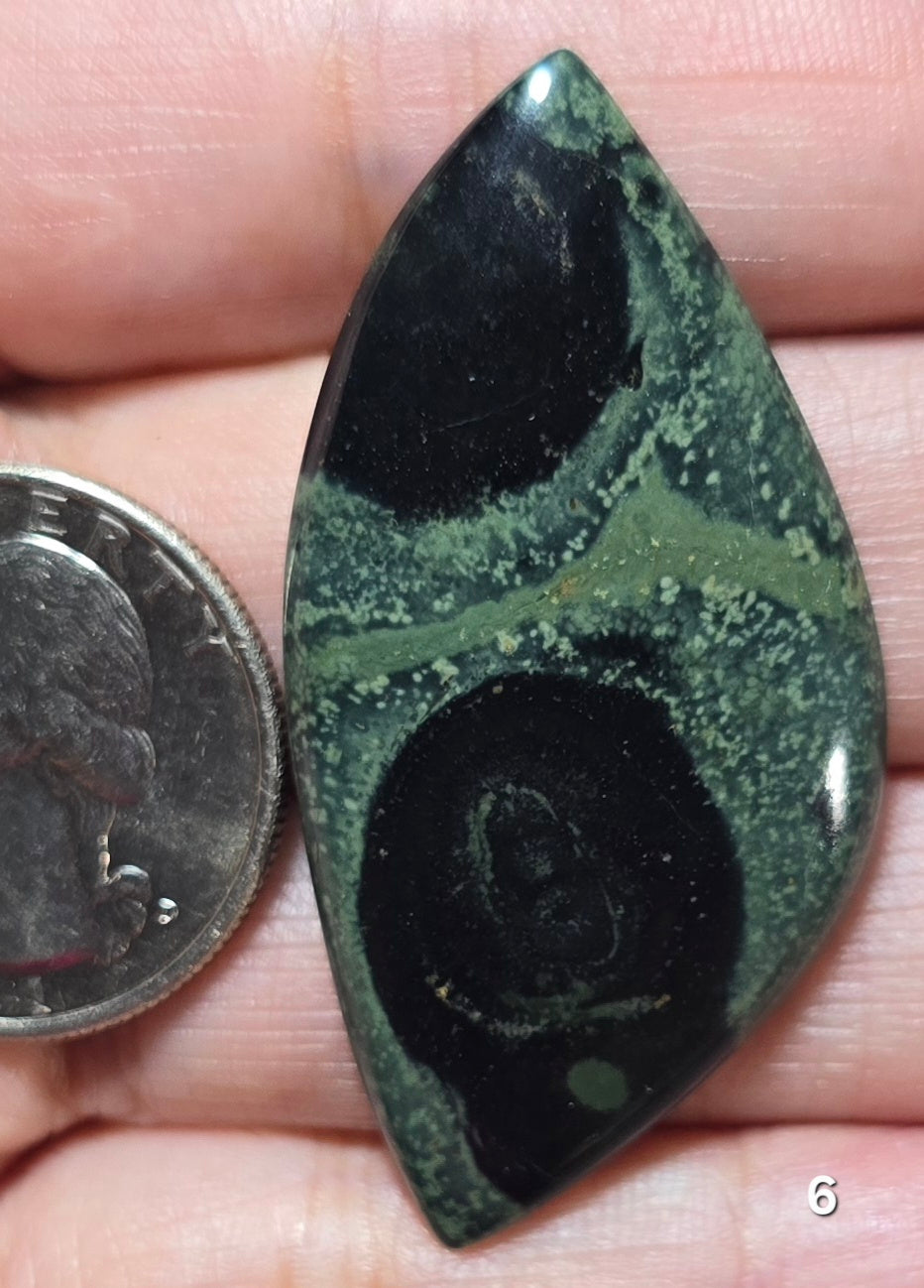 #6 Kambaba Jasper
