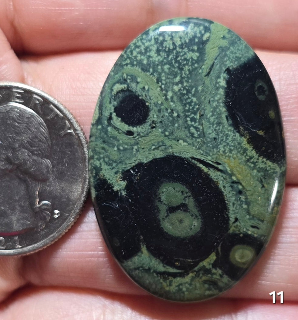 #11 Kambaba Jasper