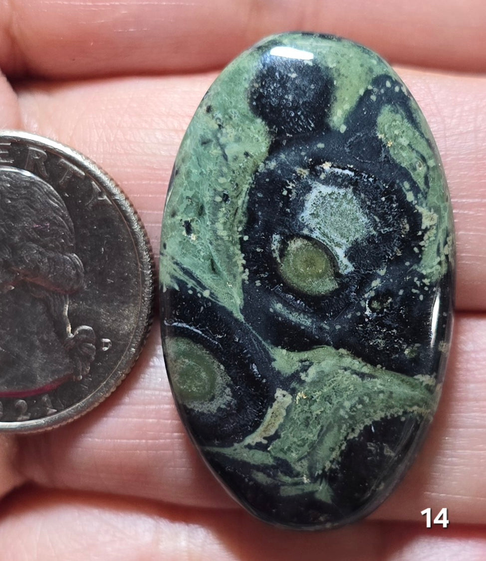 #14 Kambaba Jasper