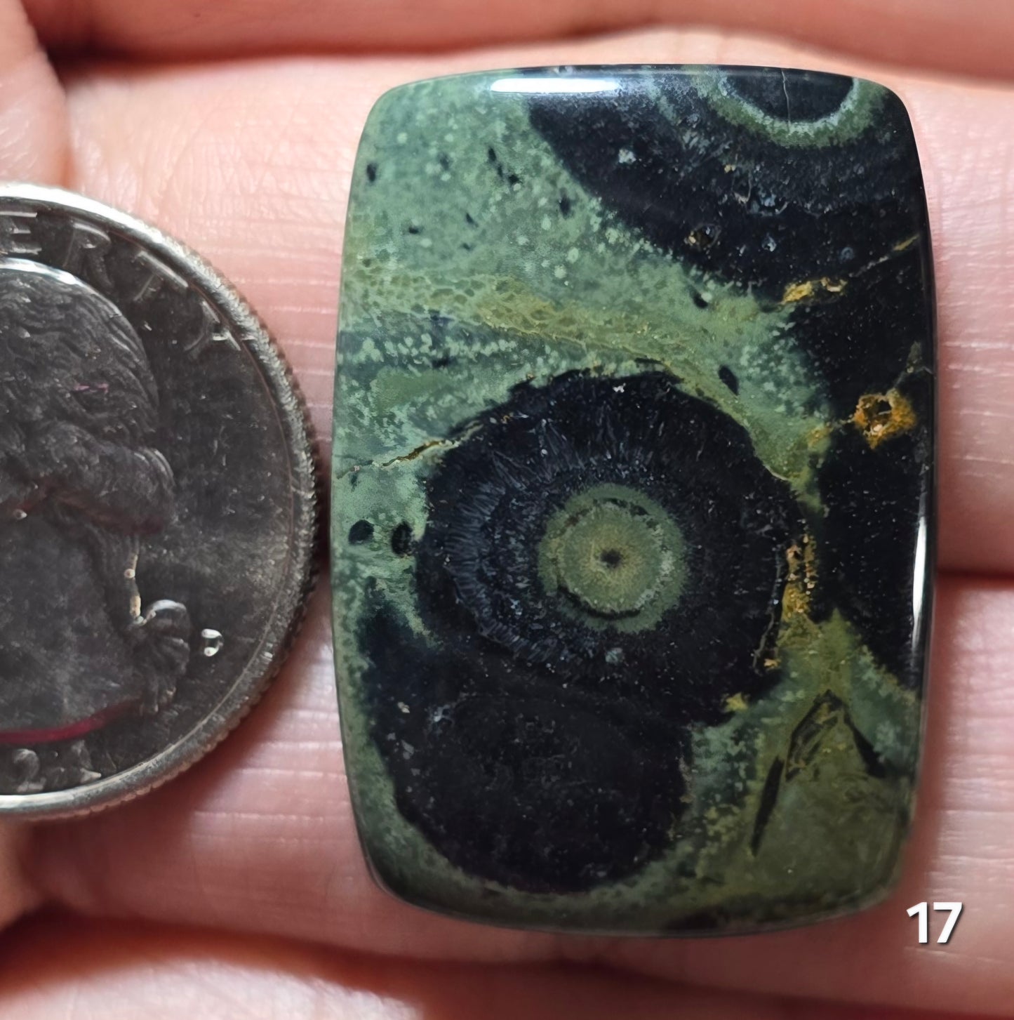 #17 Kambaba Jasper