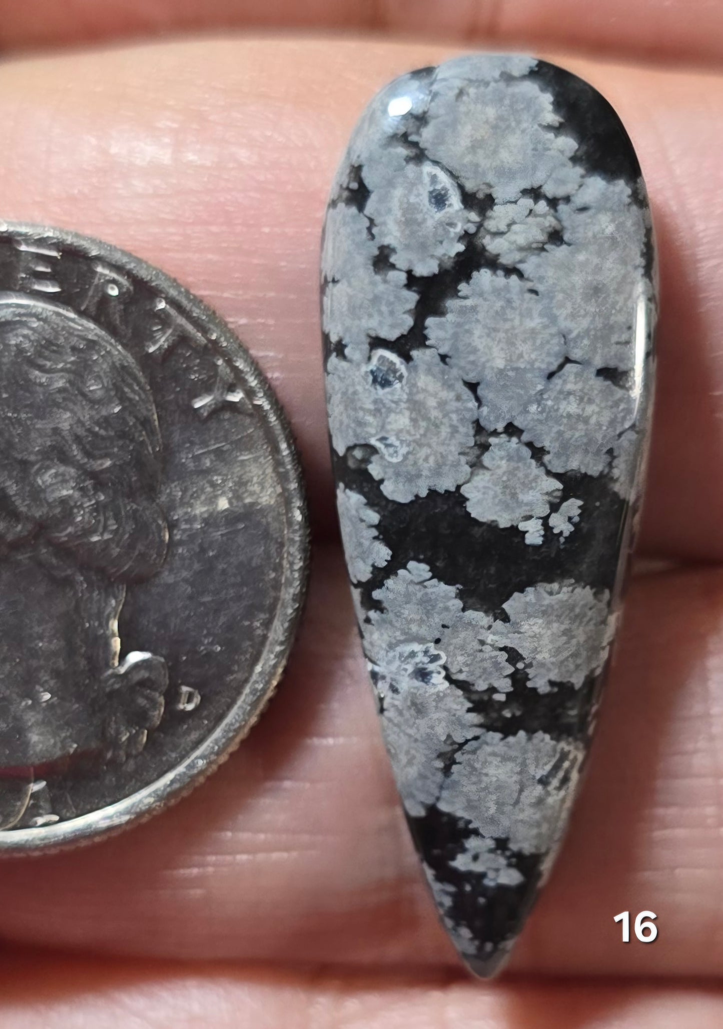 #16 Snowflake Obsidian