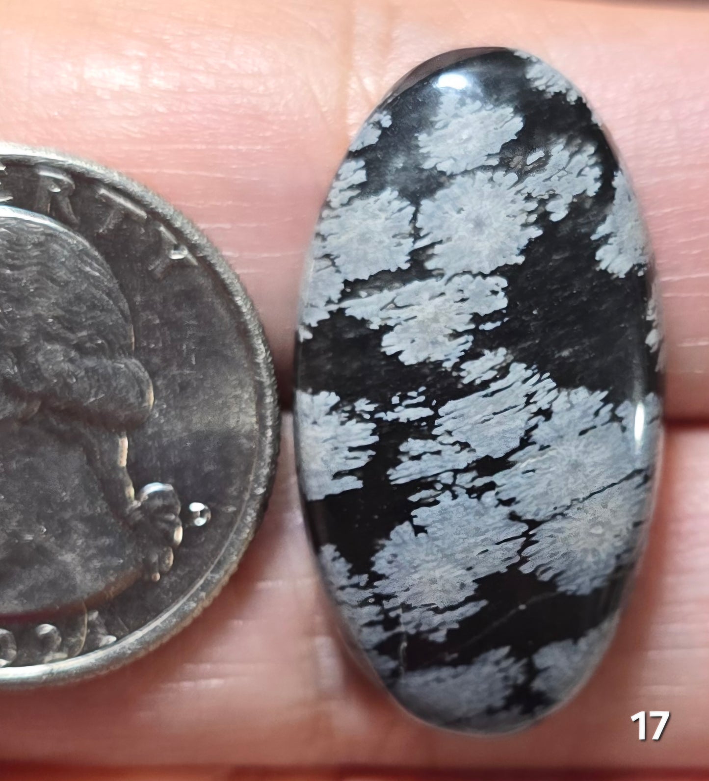#17 Snowflake Obsidian