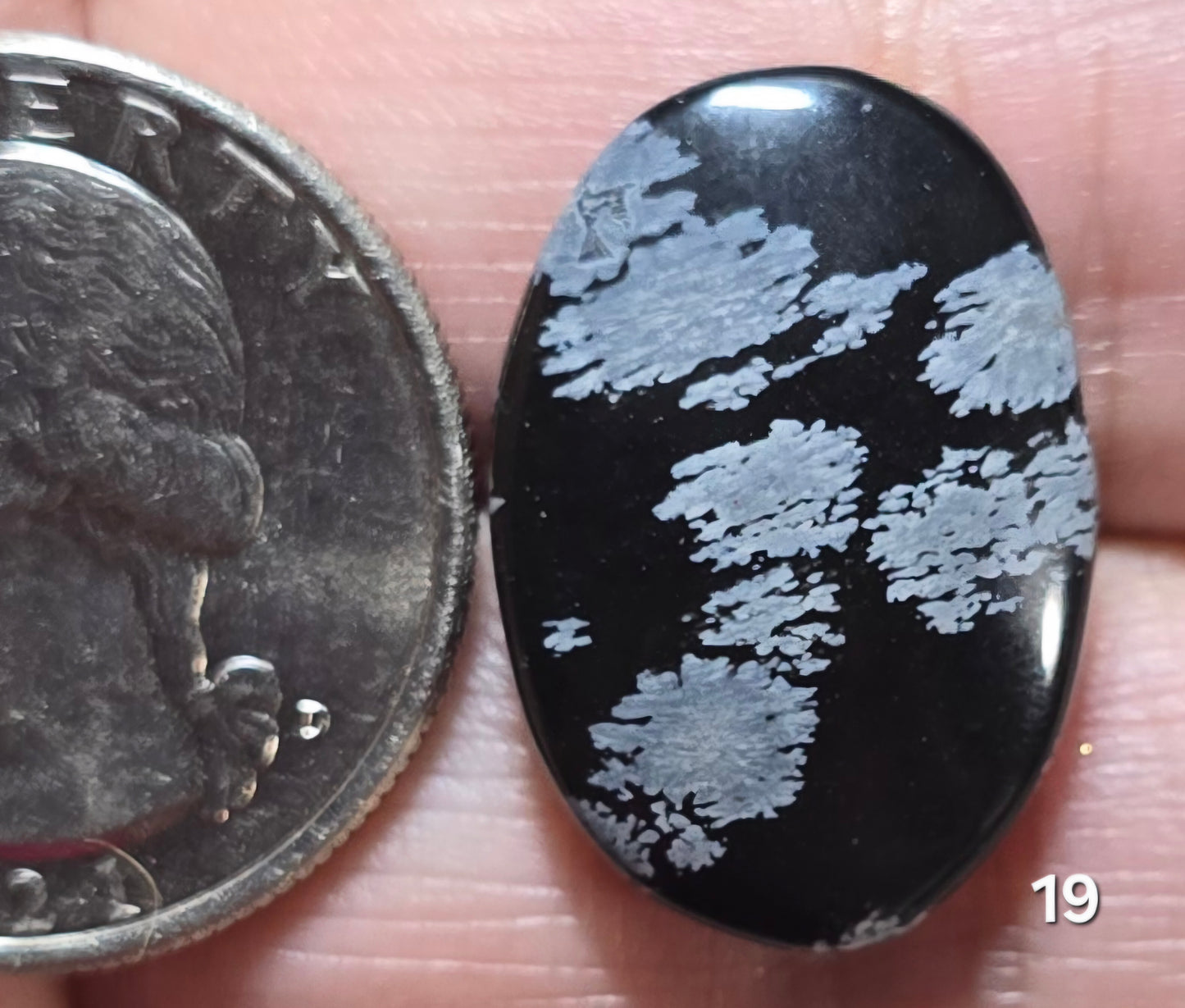 #19 Snowflake Obsidian