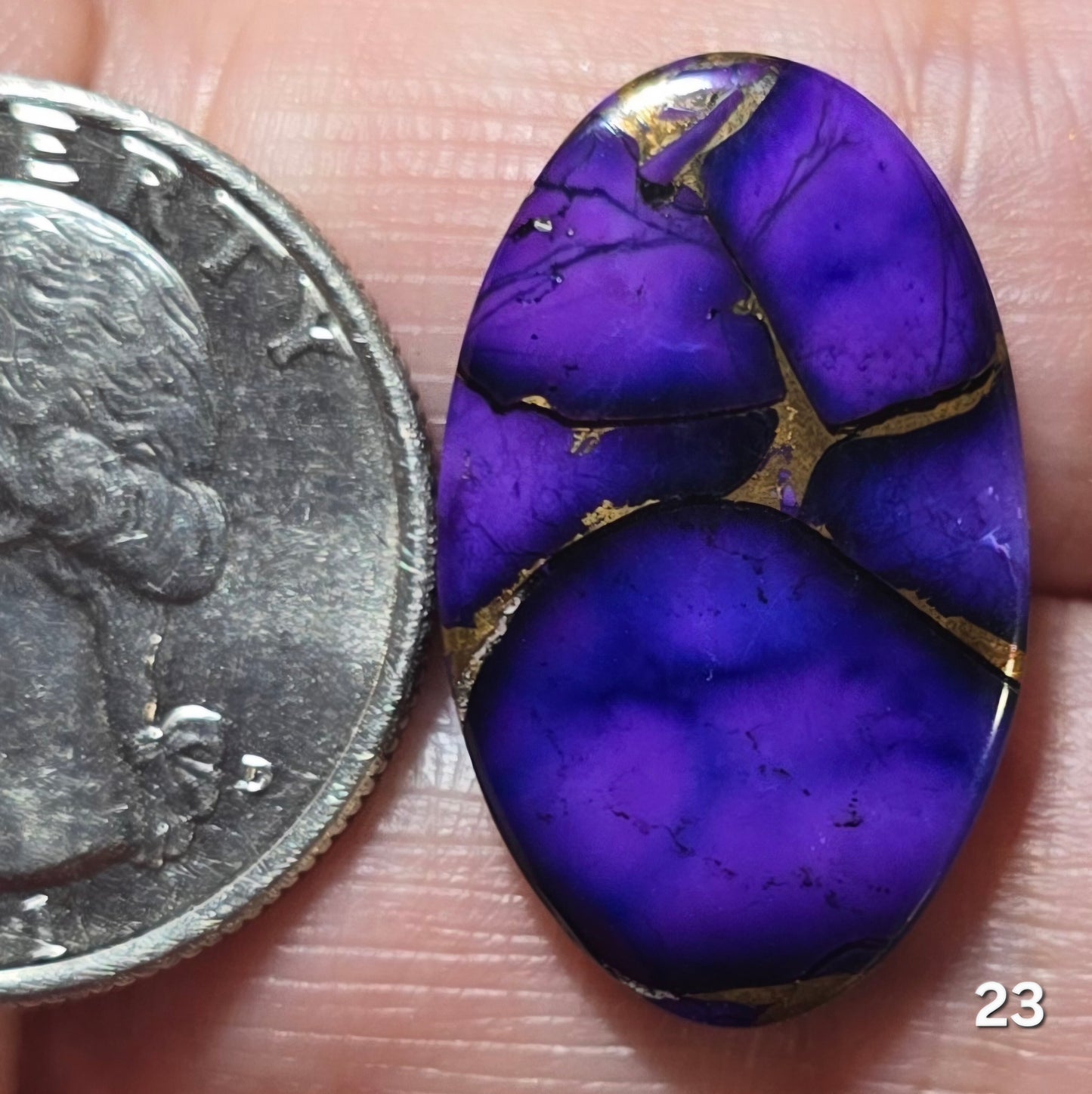 #23 Purple Copper Dahlia