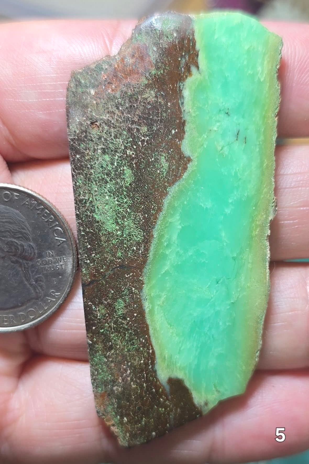 #5 Australian Chrysoprase Slice