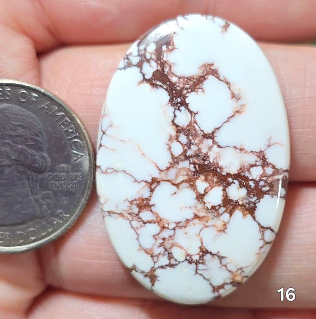 #16 Wild Horse Magnesite
