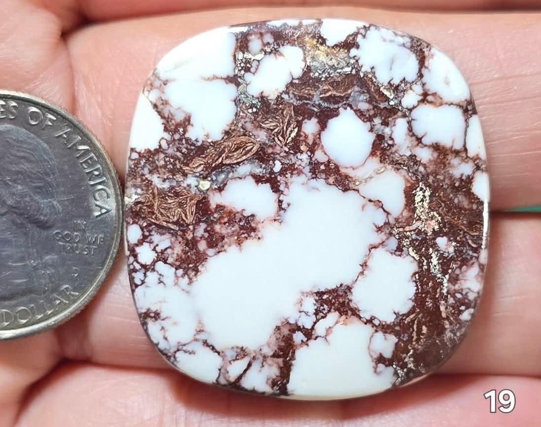 #19 Wild Horse Magnesite