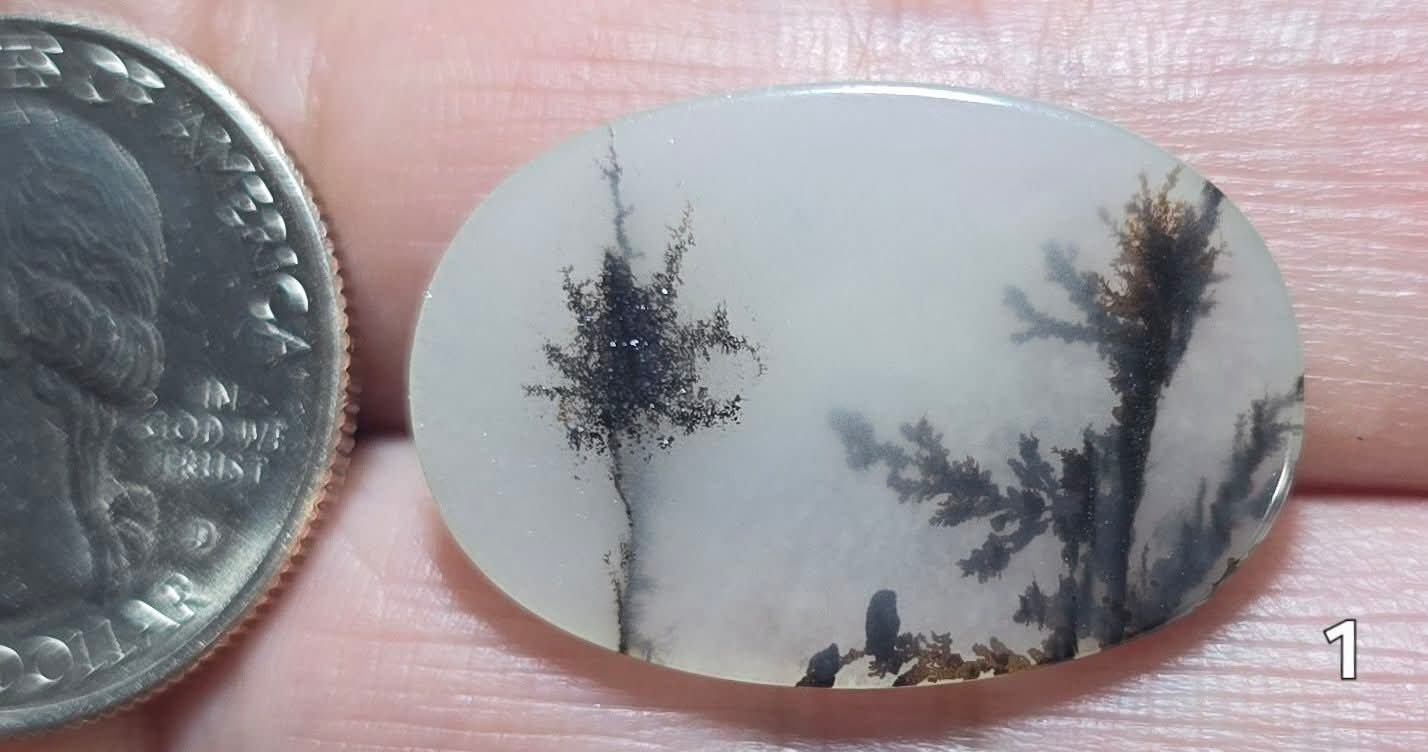 #1 Dendritic Quartz