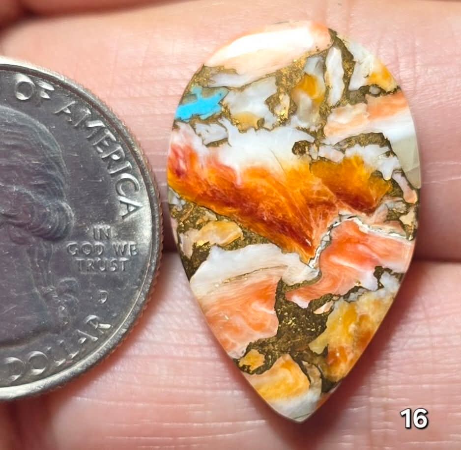 #16 Spiny Oyster Turquoise