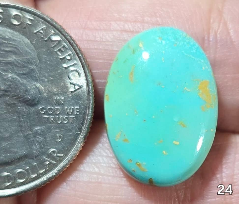 #24 Arizona Turquoise