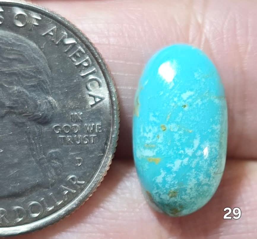 #29 Arizona Turquoise