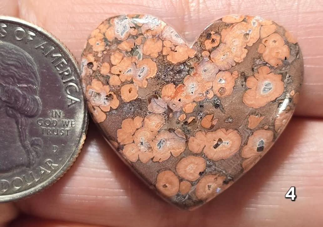 #4 Poppy Jasper Heart