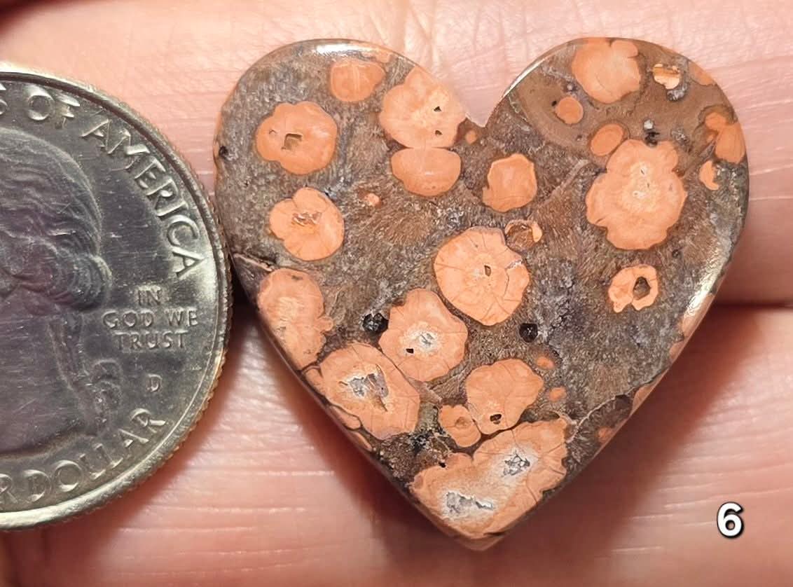 #6 Poppy Jasper Heart