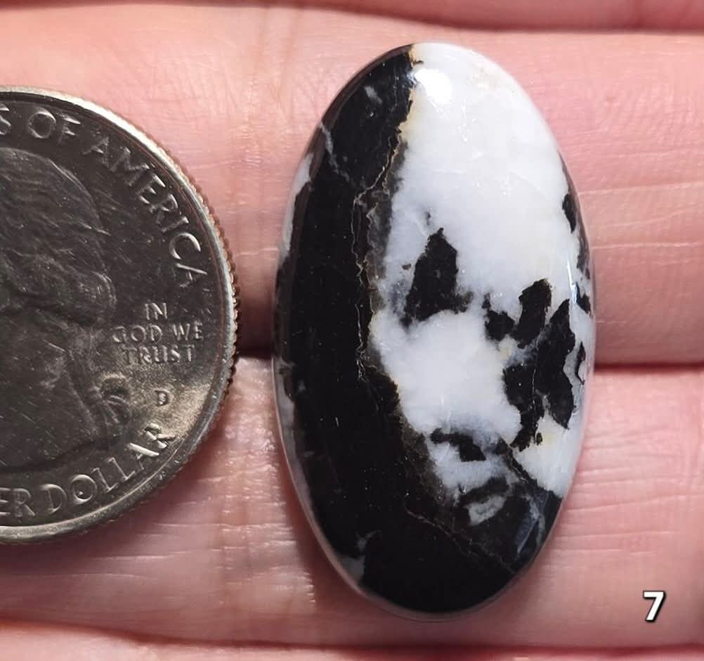 #7 White Buffalo Jasper