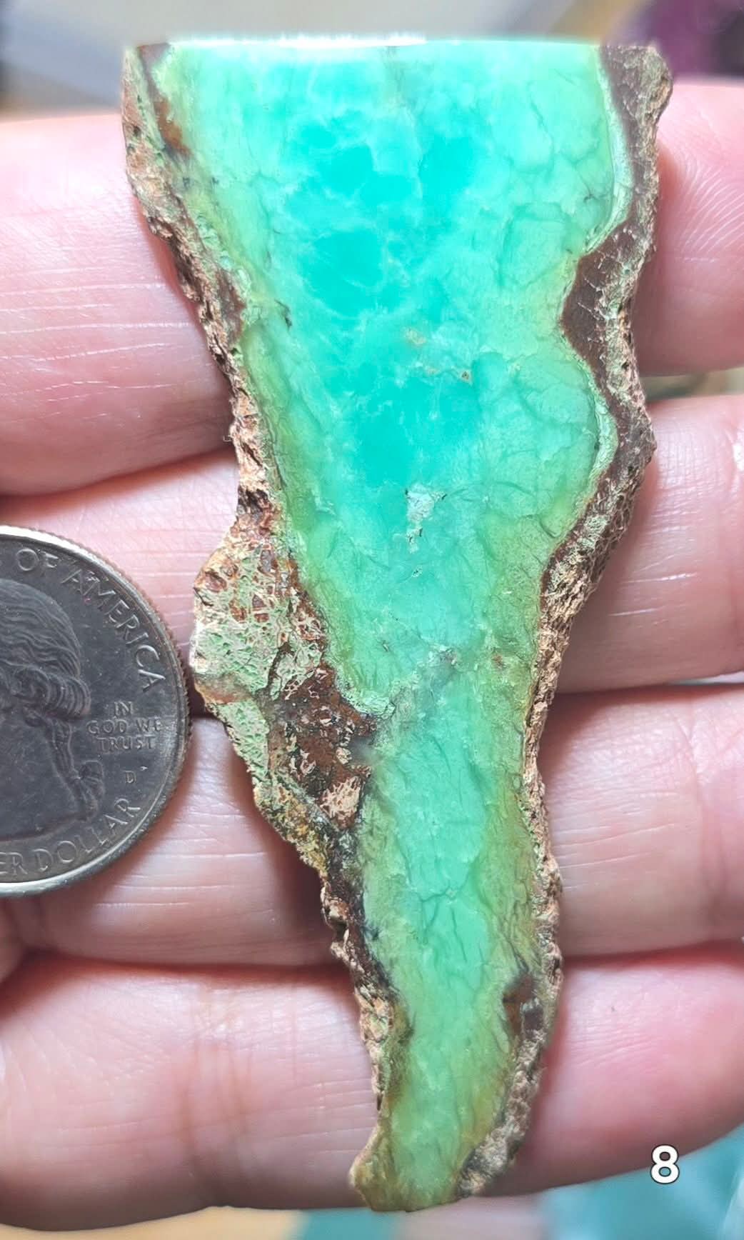 #8 Australian Chrysoprase Slice