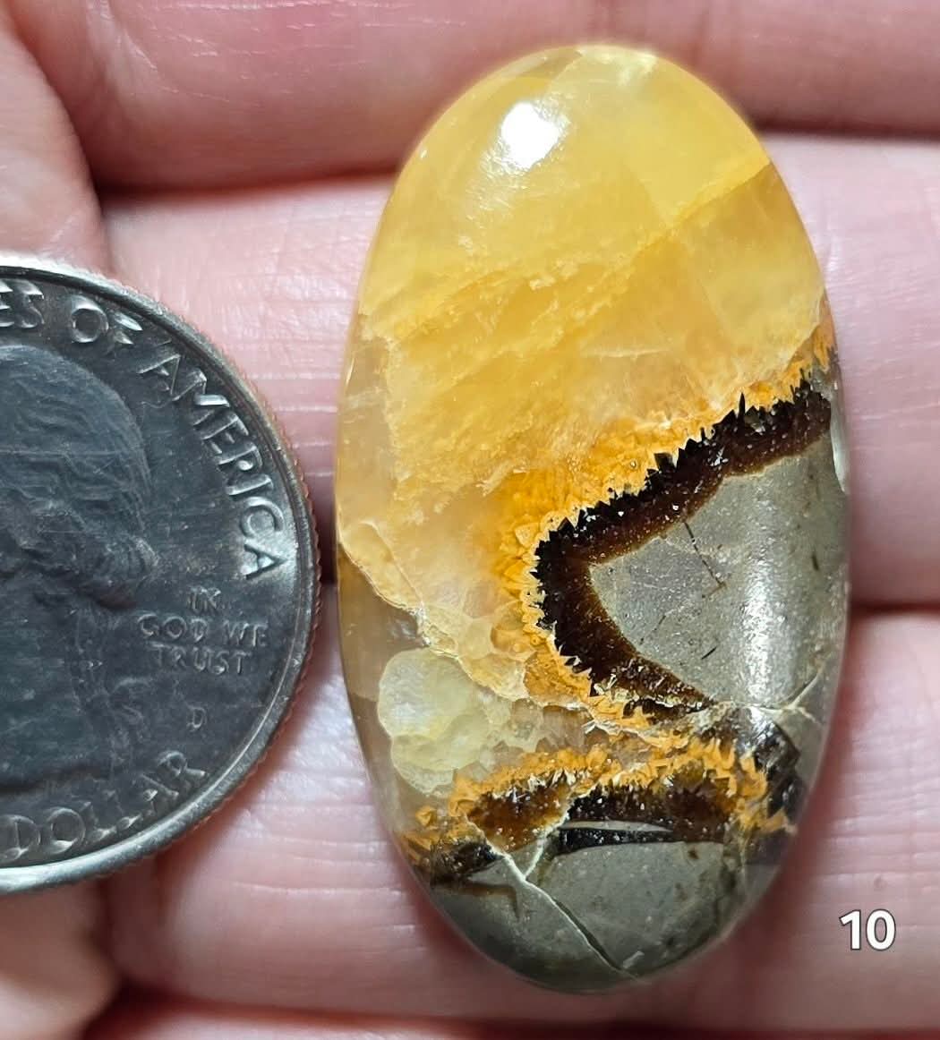 #10 Yellow Septarian