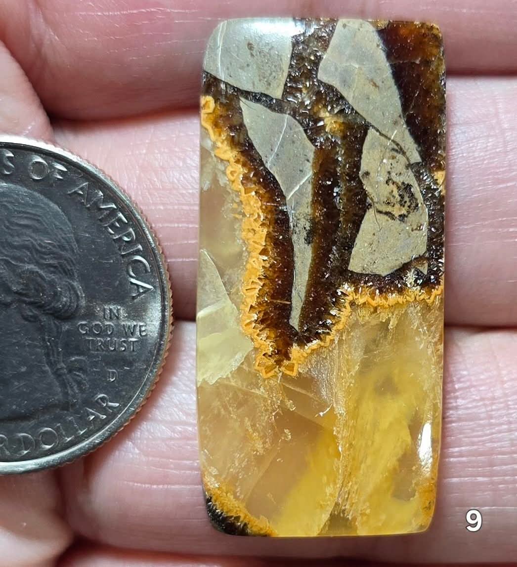 #9 Yellow Septarian