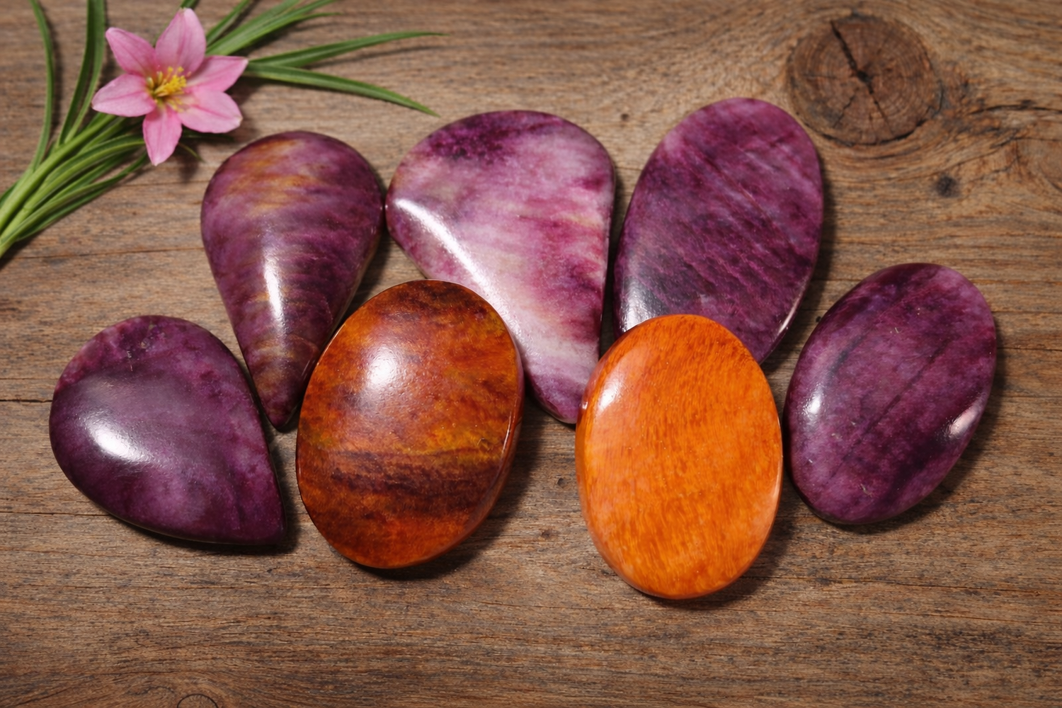 Spiny Oyster - Natural