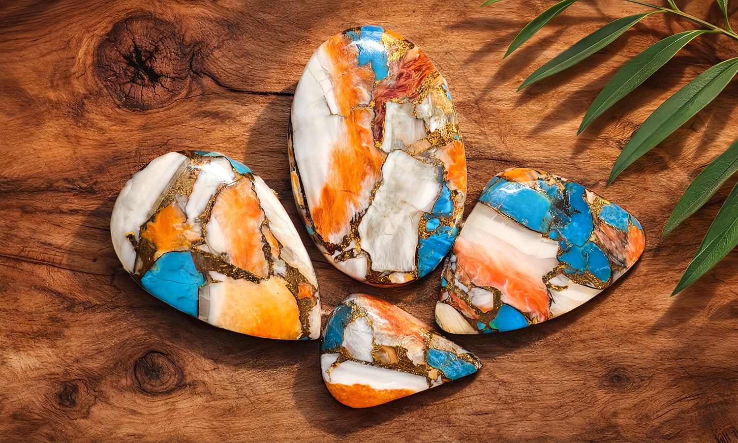 Spiny Oyster Turquoise