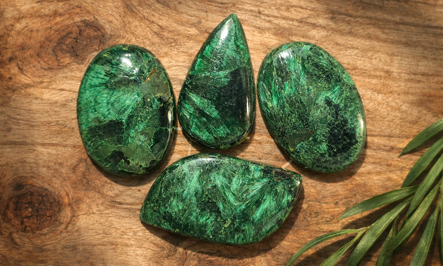 Velvet Malachite