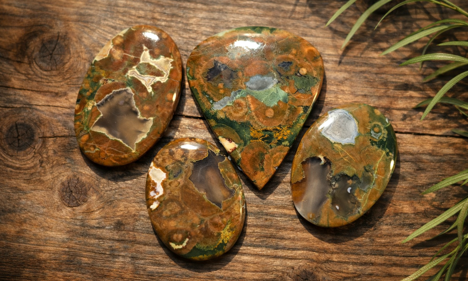 Rainforest Jasper (Rhyolite)