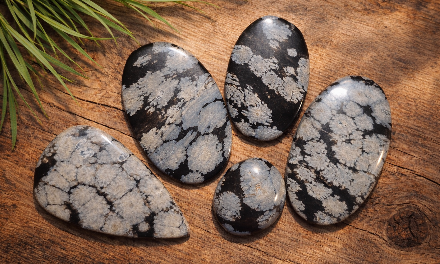 Snowflake Obsidian