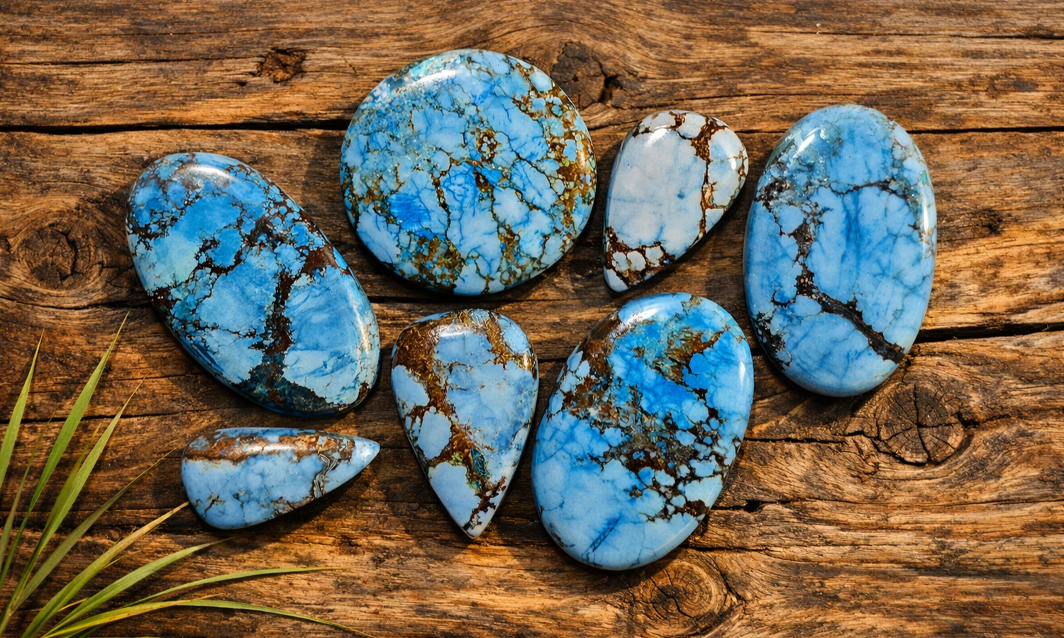 Azure Wild Horse Jasper