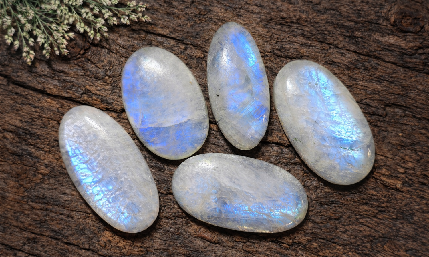Blue Flash Moonstone