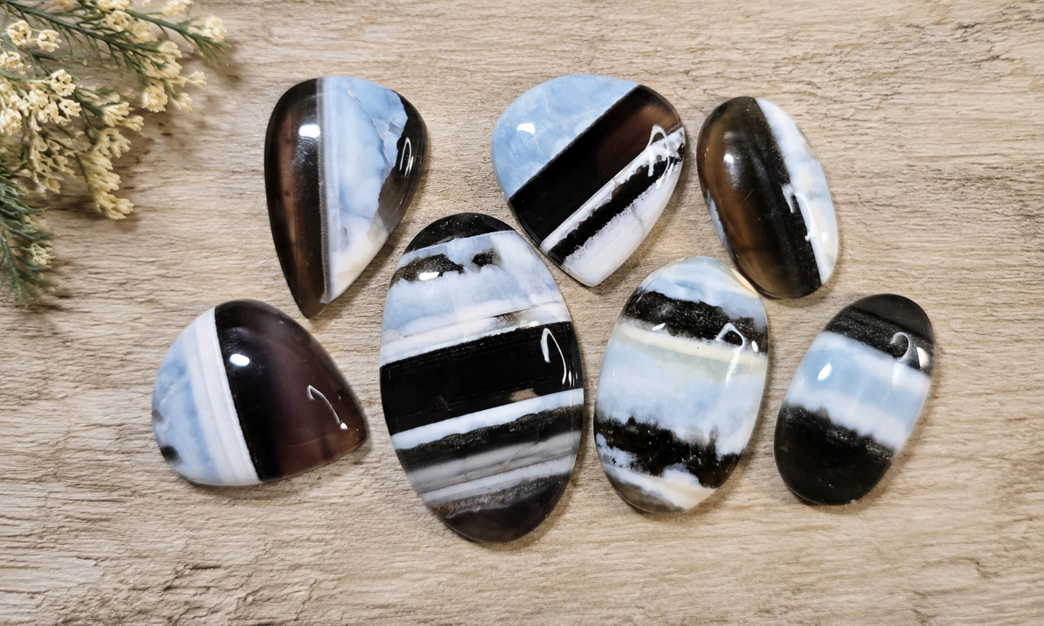 Owyhee Blue Opal Cabochons