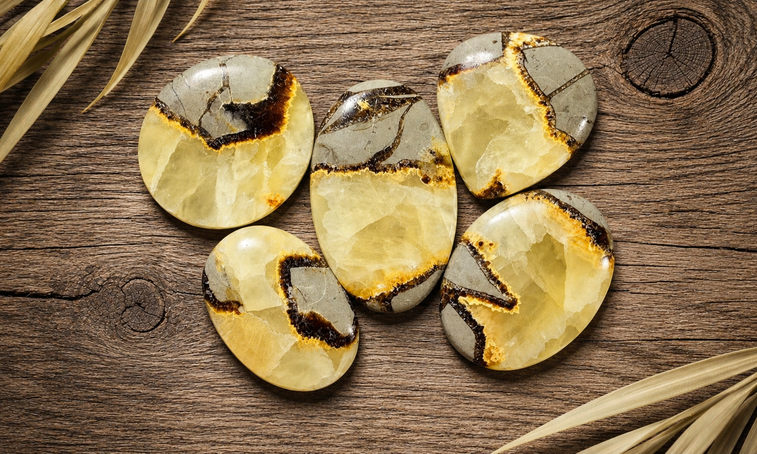 Yellow Septarian Cabochons